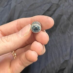 Pandora December birth month charm